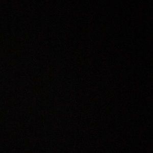 Meet your Posher, Timmeon